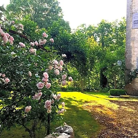 דירה Chateau D'esparron אספארו-דה-ורדו